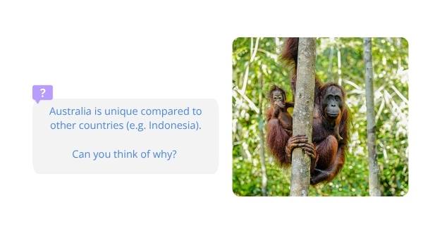 Conserving Biomes for our Future Education Presentation — slide 6