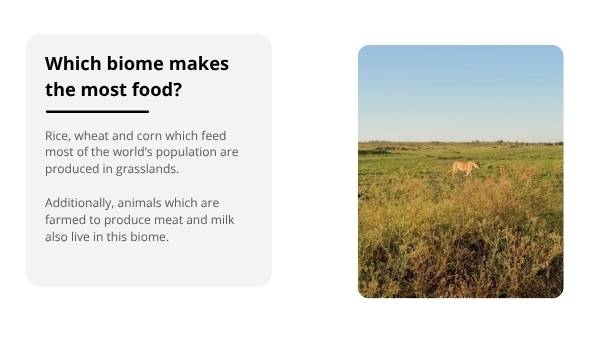 Conserving Biomes for our Future Education Presentation — slide 10
