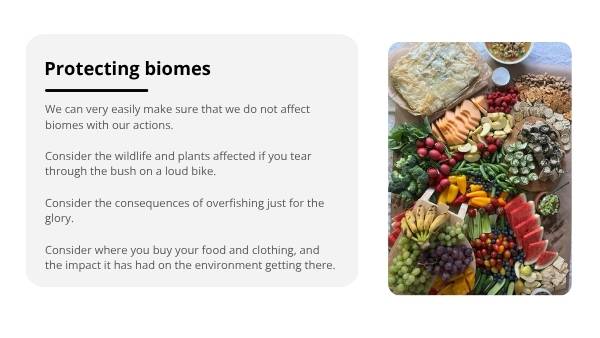Conserving Biomes for our Future Education Presentation — slide 12