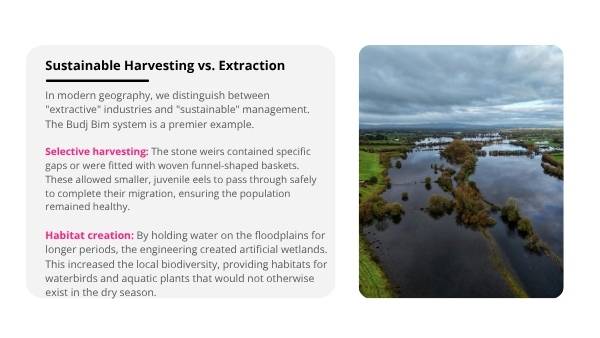 Engineering Biomes - The Budj Bim Education Presentation — slide 5