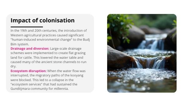 Engineering Biomes - The Budj Bim Education Presentation — slide 6