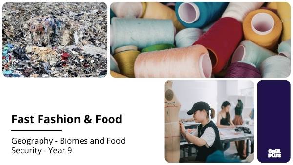 Fast Fashion and Food Education Presentation — slide 1