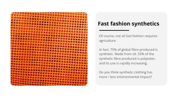 Fast Fashion and Food Education Presentation — slide 8