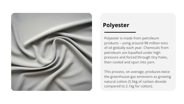 Fast Fashion and Food Education Presentation — slide 9