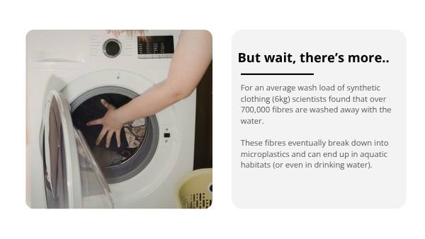 Fast Fashion and Food Education Presentation — slide 11