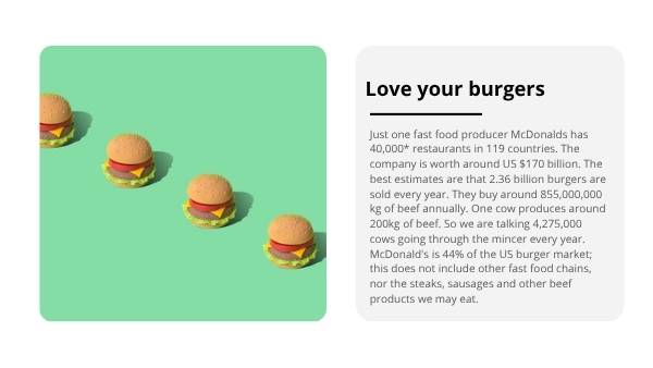 Fast Fashion and Food Education Presentation — slide 12