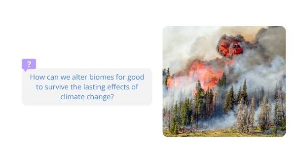 Human Impacts on Biomes Education Presentation — slide 6