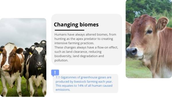 Human Impacts on Biomes Education Presentation — slide 9