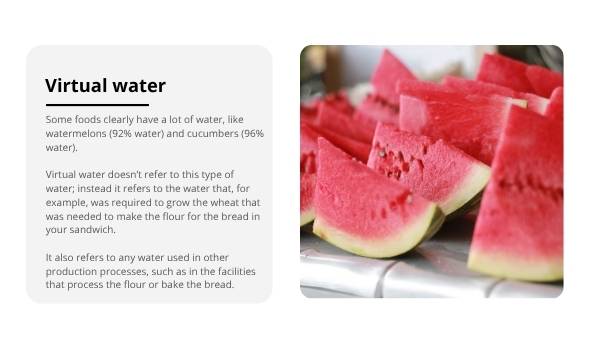 Food and Virtual Water Education Presentation — slide 7