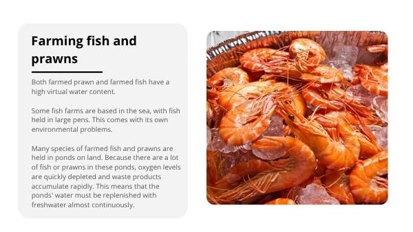Food and Virtual Water Education Presentation — slide 10