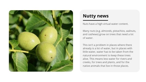 Food and Virtual Water Education Presentation — slide 11