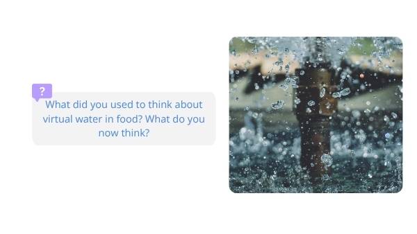 Food and Virtual Water Education Presentation — slide 12