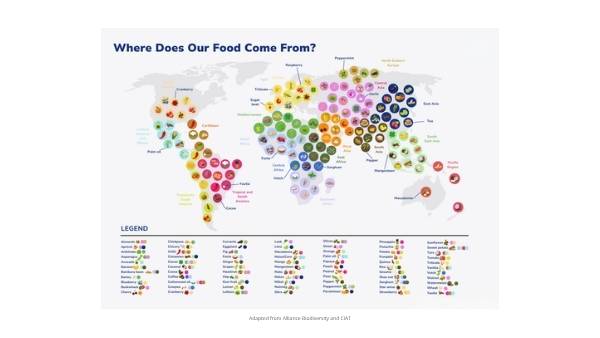 The Origins Of The Food You Eat Education Presentation — slide 7