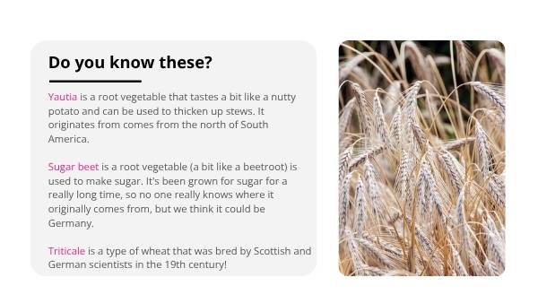 The Origins Of The Food You Eat Education Presentation — slide 9