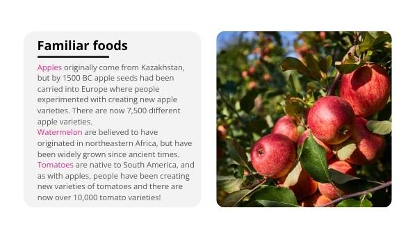 The Origins Of The Food You Eat Education Presentation — slide 11
