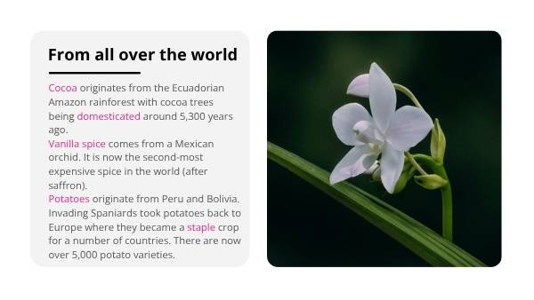 The Origins Of The Food You Eat Education Presentation — slide 12