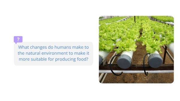 Food Security Education Presentation — slide 4