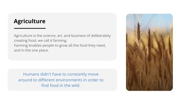 Food Security Education Presentation — slide 5