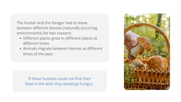 Food Security Education Presentation — slide 6
