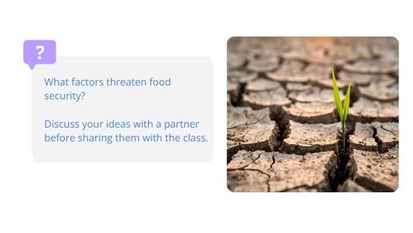Food Security Education Presentation — slide 8