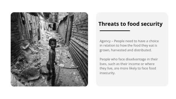 Food Security Education Presentation — slide 10