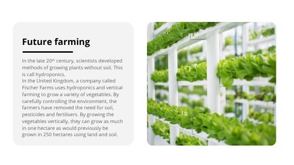 Food Security Education Presentation — slide 11