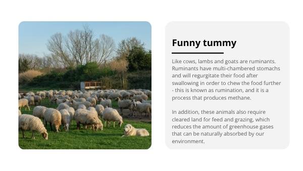 Food and Emissions Education Presentation — slide 9