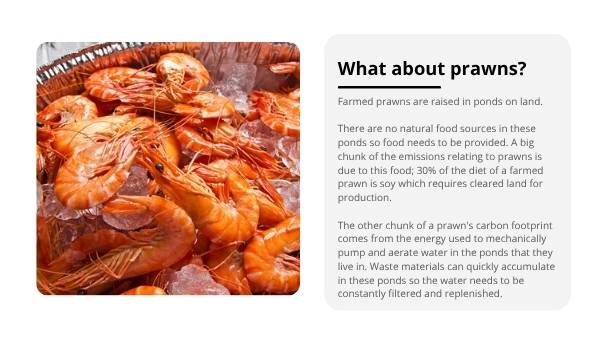 Food and Emissions Education Presentation — slide 12