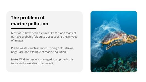 An Introduction to Marine Pollution Education Presentation — slide 4