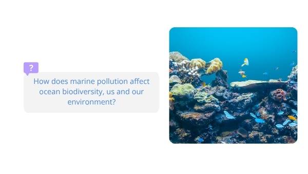 An Introduction to Marine Pollution Education Presentation — slide 6