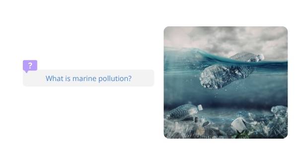 An Introduction to Marine Pollution Education Presentation — slide 8
