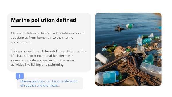 An Introduction to Marine Pollution Education Presentation — slide 9