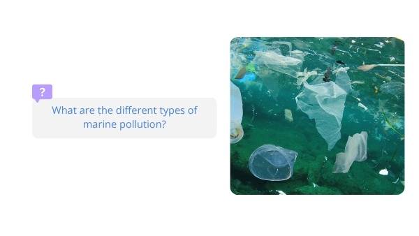 An Introduction to Marine Pollution Education Presentation — slide 10