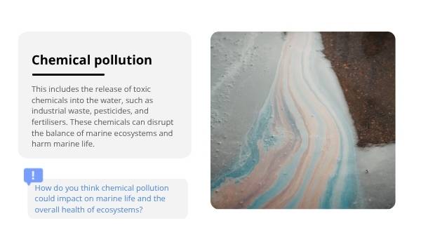 An Introduction to Marine Pollution Education Presentation — slide 11