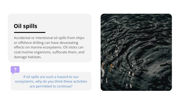 An Introduction to Marine Pollution Education Presentation — slide 12