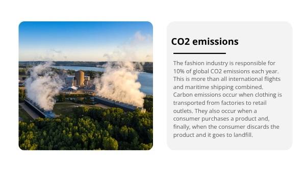 Sustainability and Fast Fashion Education Presentation — slide 5