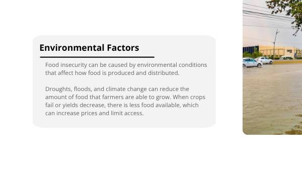 Understanding Food Insecurity Education Presentation — slide 5
