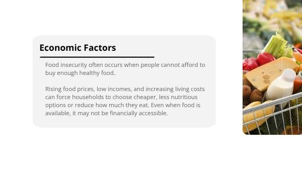 Understanding Food Insecurity Education Presentation — slide 6