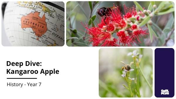Deep Dive: Kangaroo Apple Education Presentation — slide 1