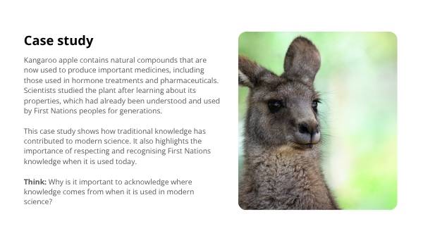 Deep Dive: Kangaroo Apple Education Presentation — slide 7