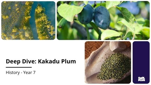 Deep Dive: Kakadu Plum Education Presentation — slide 1