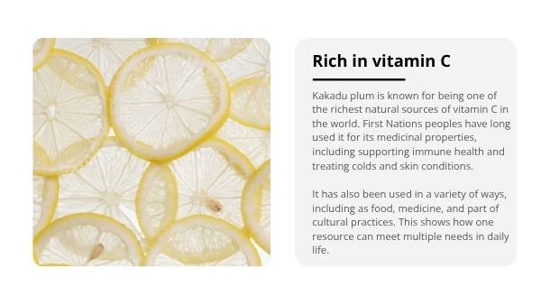 Deep Dive: Kakadu Plum Education Presentation — slide 4