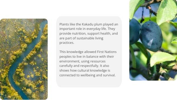 Deep Dive: Kakadu Plum Education Presentation — slide 6