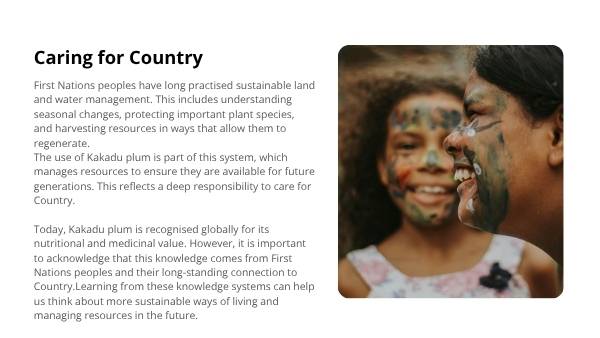 Deep Dive: Kakadu Plum Education Presentation — slide 7
