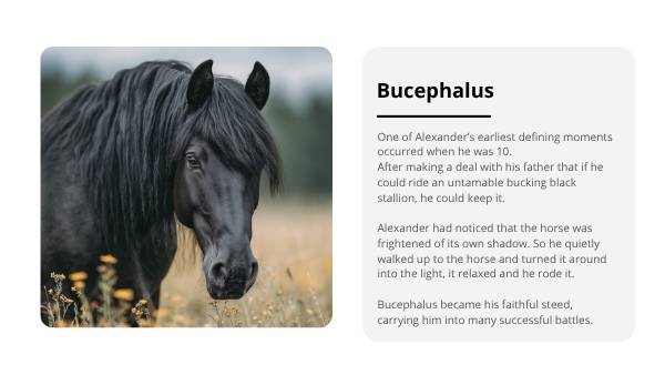 The History of Alexander the Great Education Presentation — slide 10
