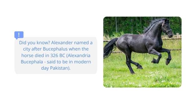 The History of Alexander the Great Education Presentation — slide 11