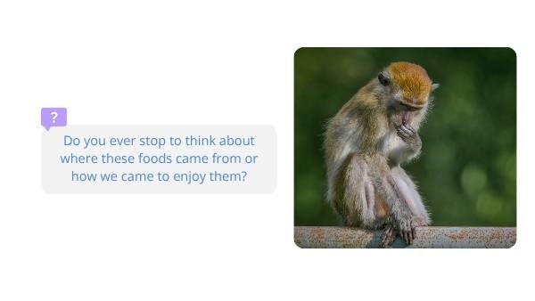 Exploration, Empire and the Origins of Chocolate Education Presentation — slide 4