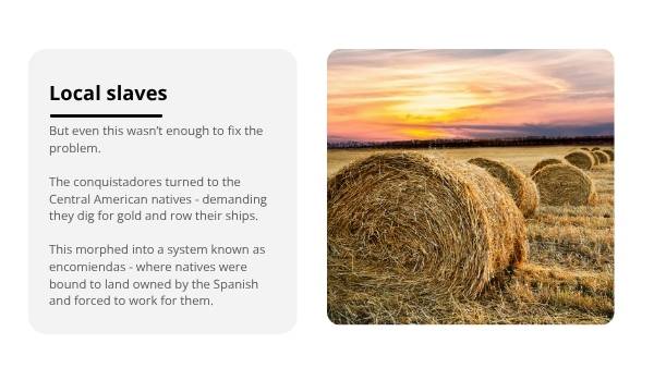 Conquistadors and the New World Education Presentation — slide 11