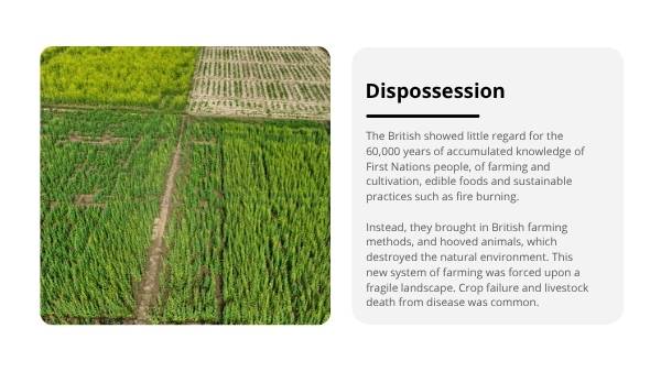 The Impact of Industrial Migration on Indigenous Cultures Education Presentation — slide 10