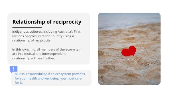 Settlers on Country Education Presentation — slide 6